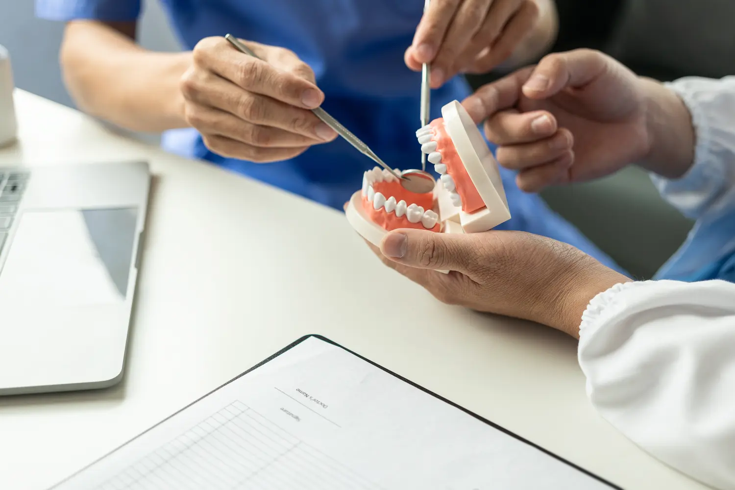 Nahaufnahme eines Kunststoffmodells des Kiefers in den Händen eines Zahnarztes
